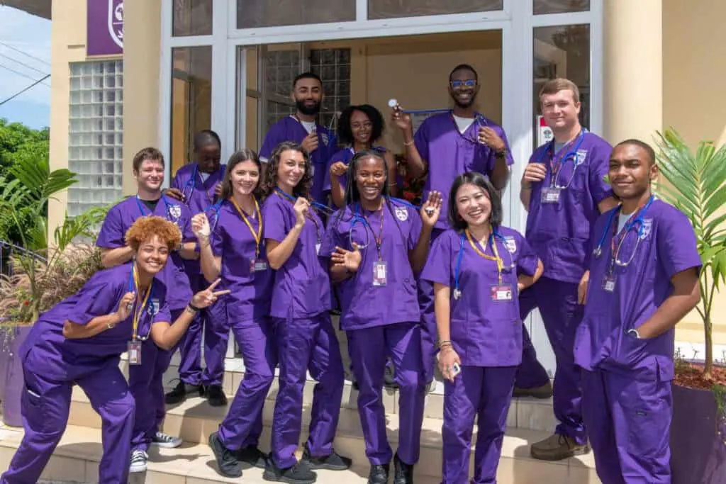 Purple Medical Uniforms Scrubs in Saudi Healthcare: Analysis