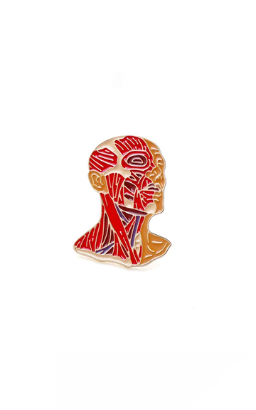 دبّوس العضلات~Muscles Pin 